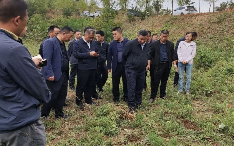 天水市政協(xié)副主席、清水縣委書記馬越垠到“榮程百草莊園”中藥材試驗基地調(diào)研中草藥產(chǎn)業(yè)發(fā)展工作