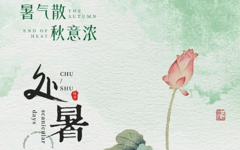 二十四節(jié)氣 X 非遺體驗(yàn) - 處暑織秋色，扎染融自然